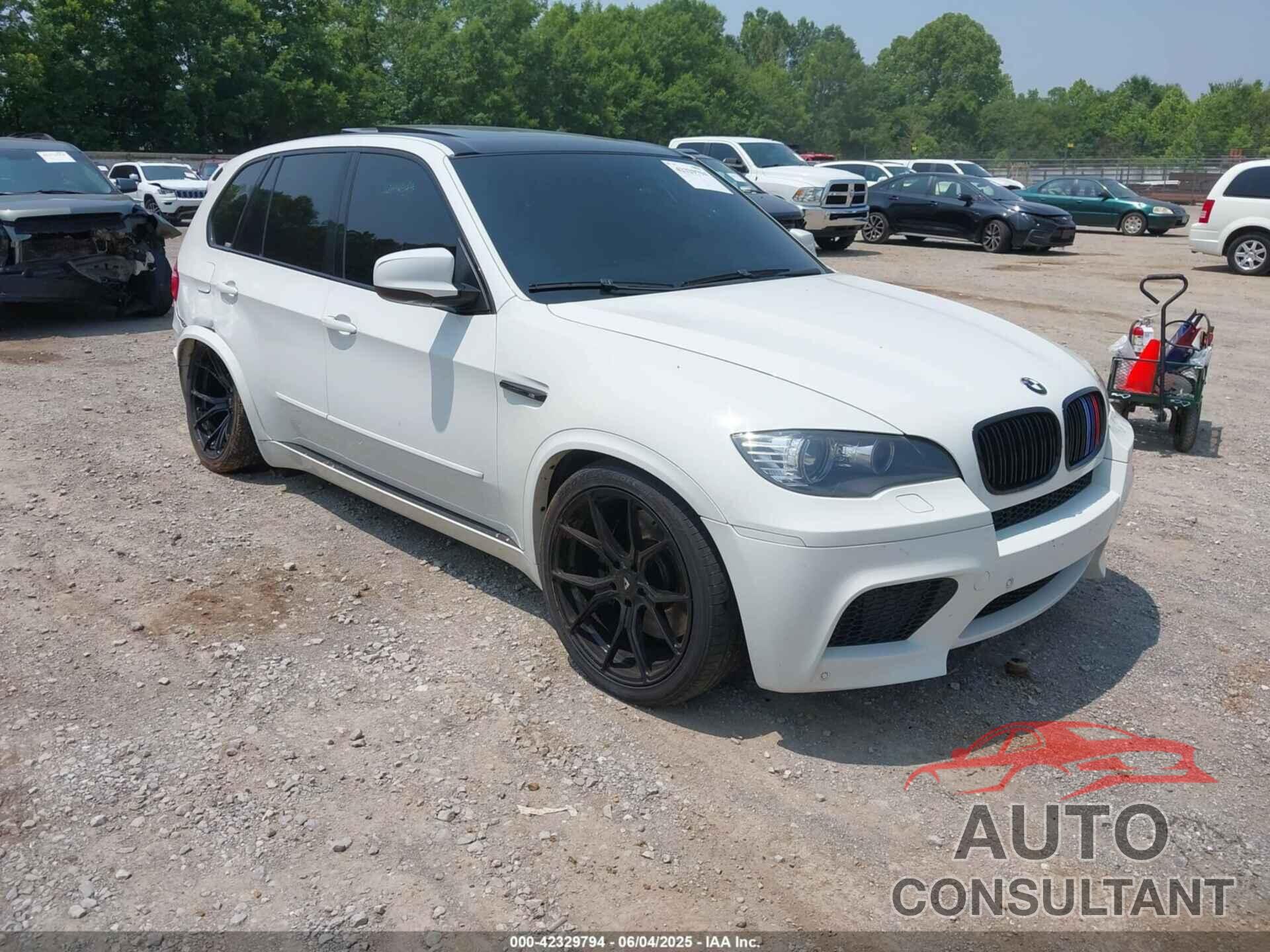 BMW X5 M 2010 - 5YMGY0C53ALK26006