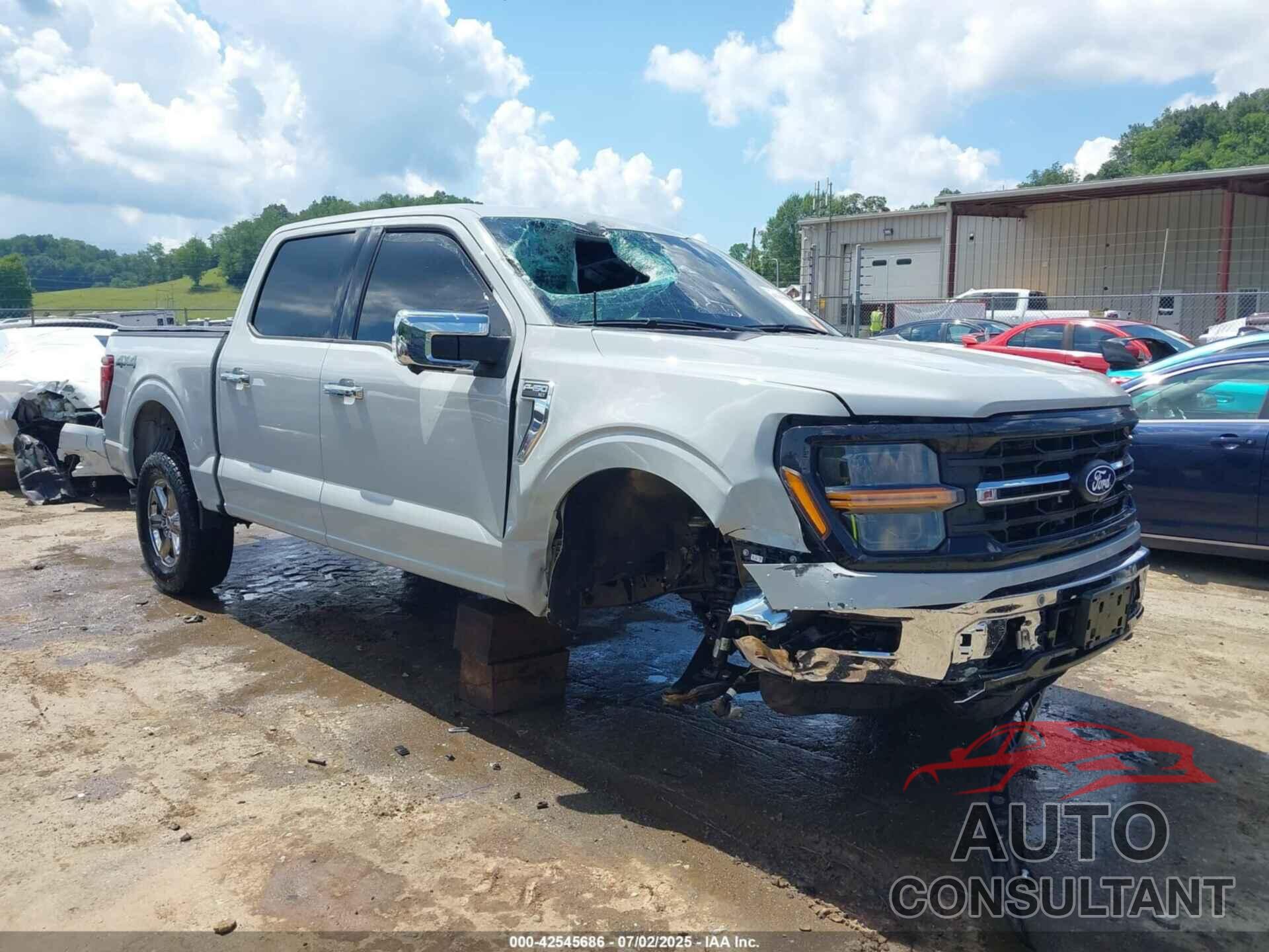 FORD F-150 2024 - 1FTEW3LP3RFA30067