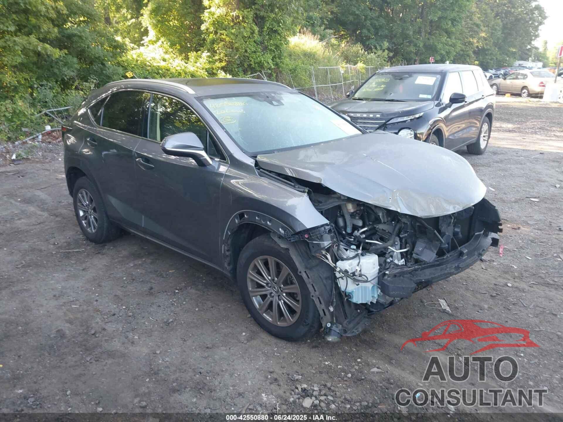 LEXUS NX 300 2020 - JTJDARDZ1L5007572