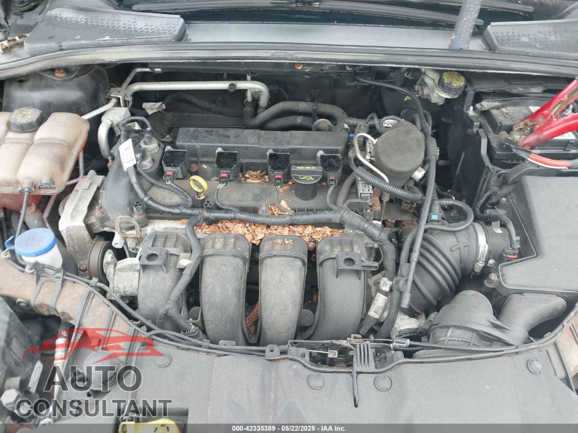 FORD FOCUS 2014 - 1FADP3K2XEL367139