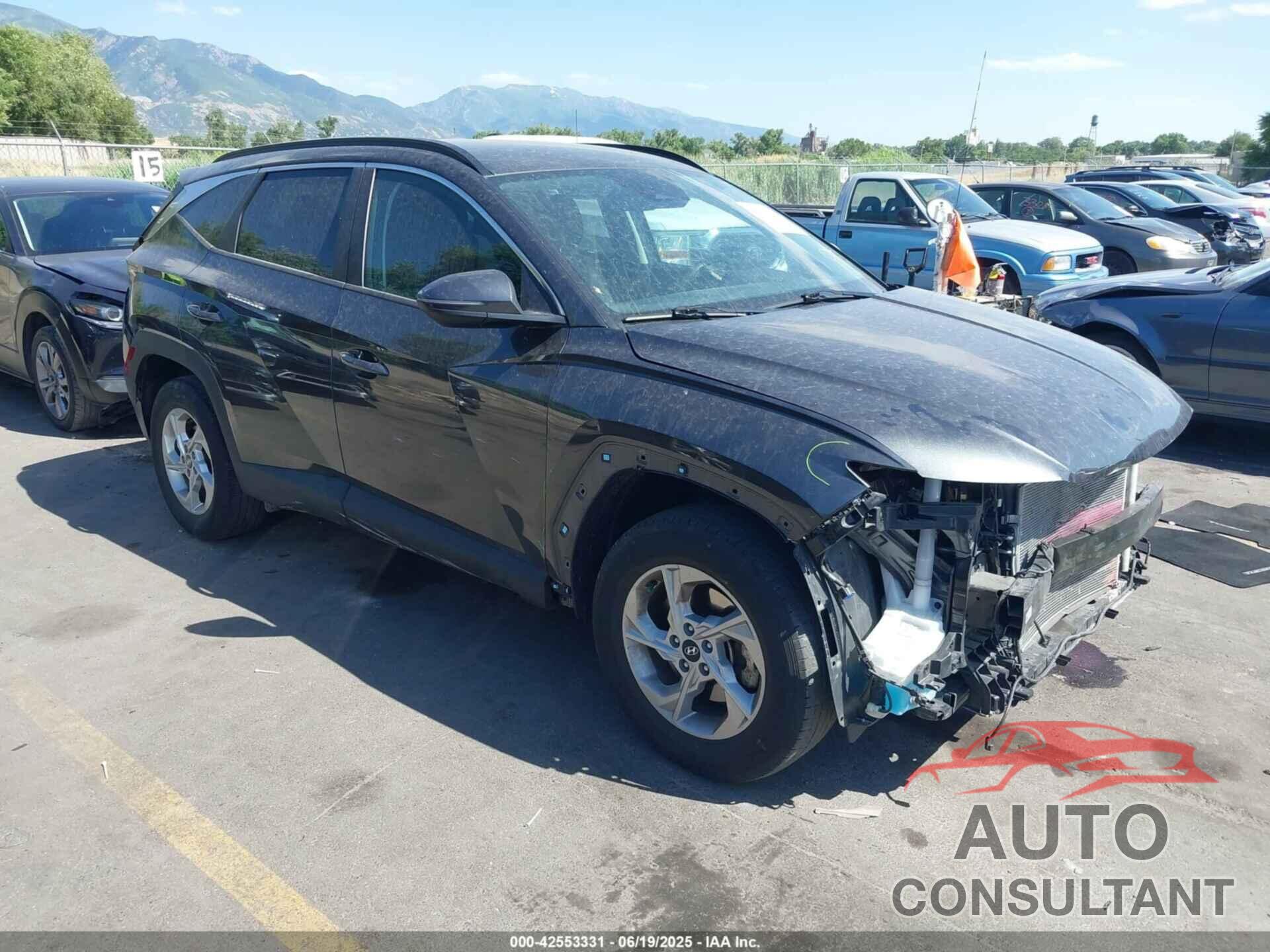 HYUNDAI TUCSON 2023 - 5NMJBCAE7PH239999
