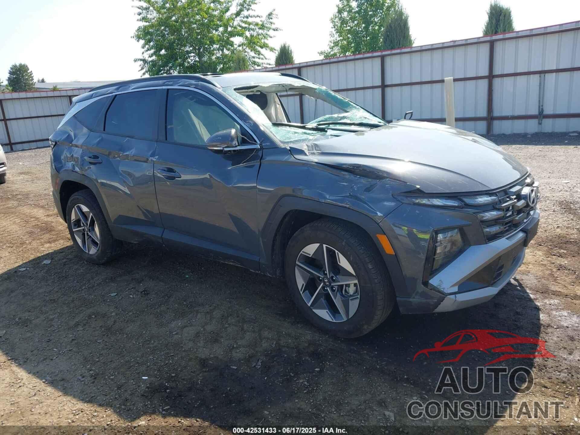 HYUNDAI TUCSON 2025 - 5NMJCCDE9SH451496