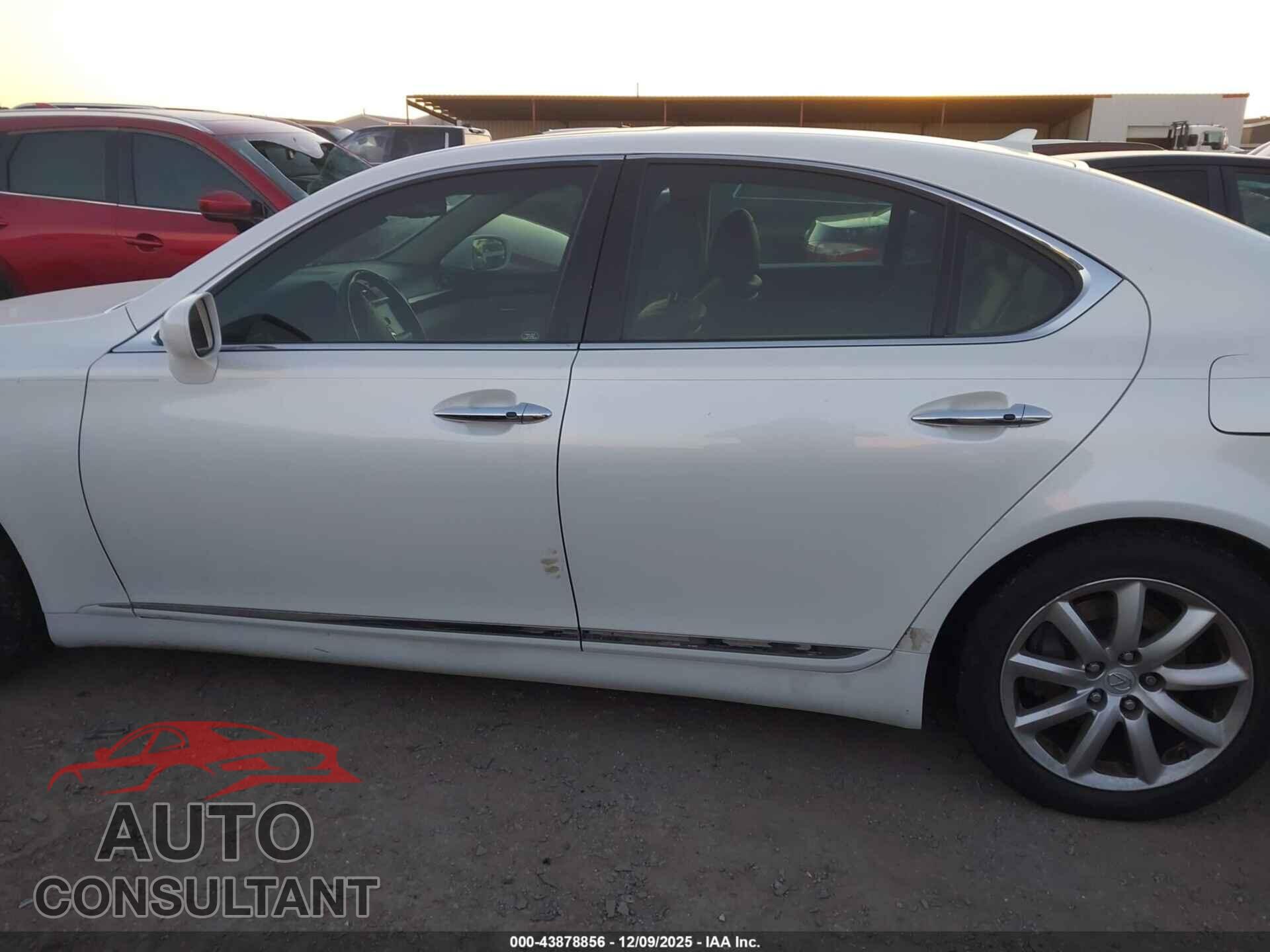 LEXUS LS 460 2009 - JTHBL46F095085357
