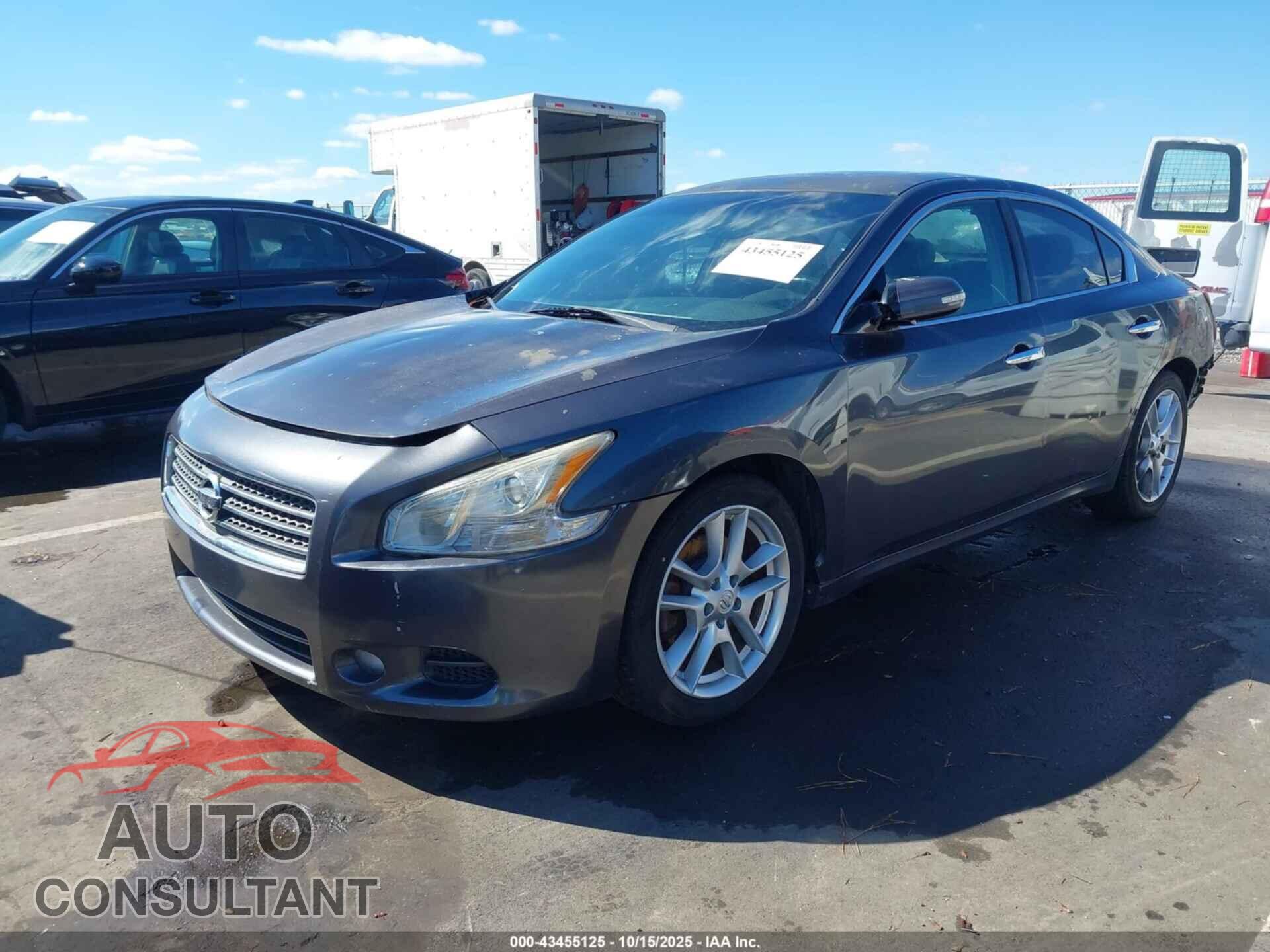 NISSAN MAXIMA 2011 - 1N4AA5AP1BC819391