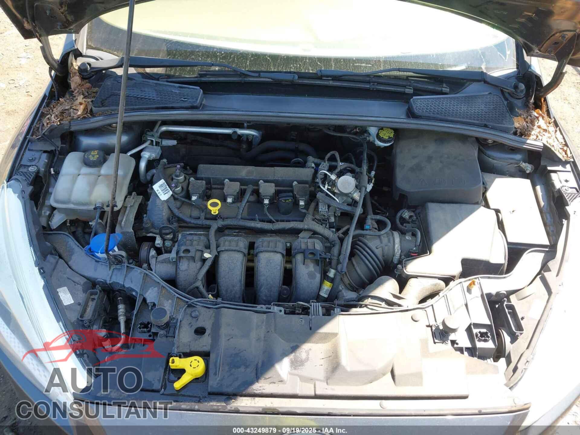 FORD FOCUS 2016 - 1FADP3E24GL368317