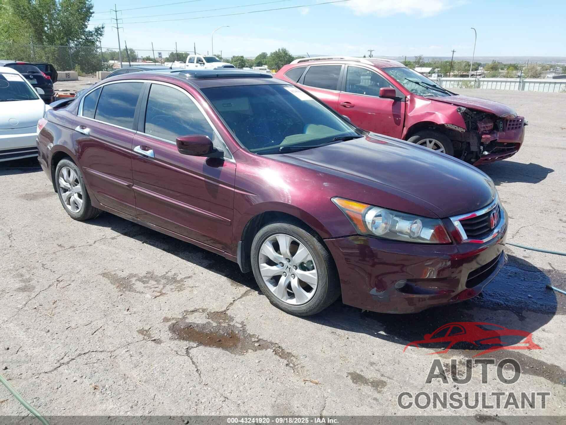 HONDA ACCORD 2010 - 5KBCP3F81AB011925