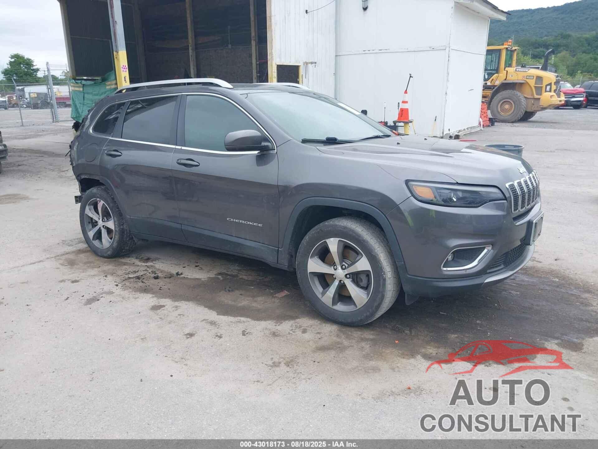 JEEP CHEROKEE 2019 - 1C4PJMDX9KD118053