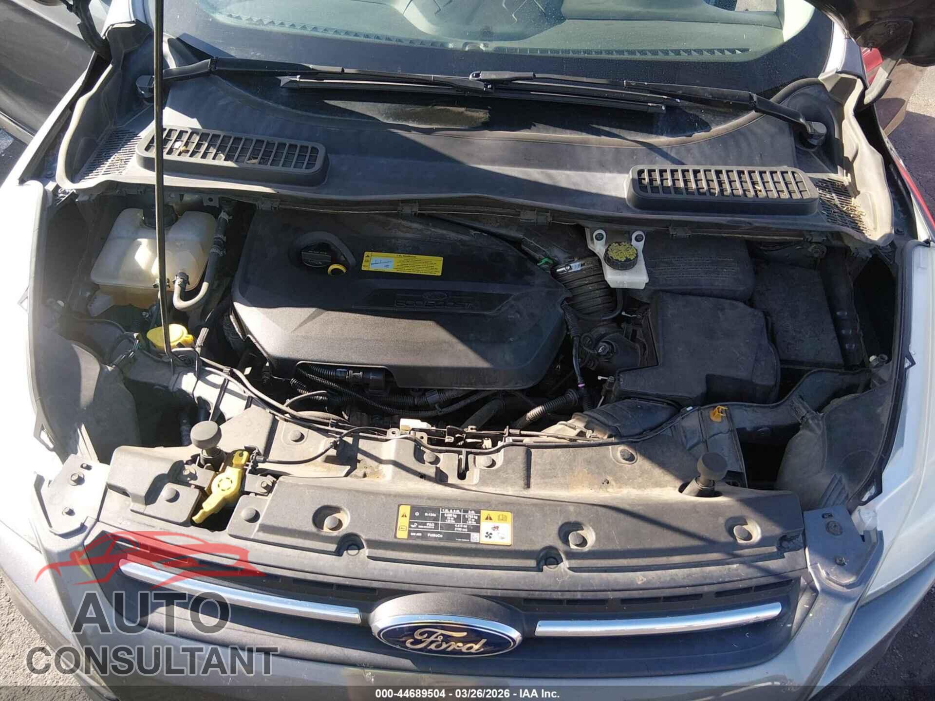 FORD ESCAPE 2014 - 1FMCU0GX7EUB16618
