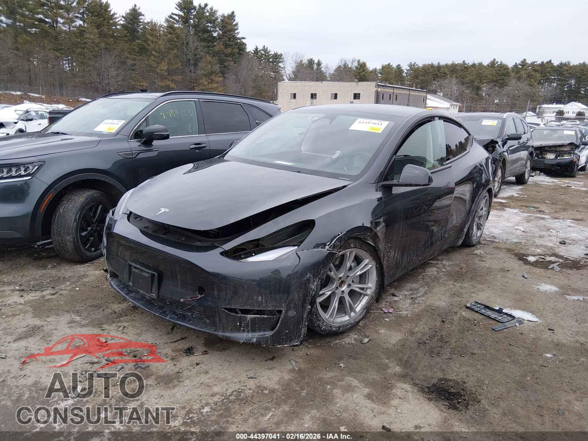 TESLA MODEL Y 2024 - 7SAYGAEE3RF009589