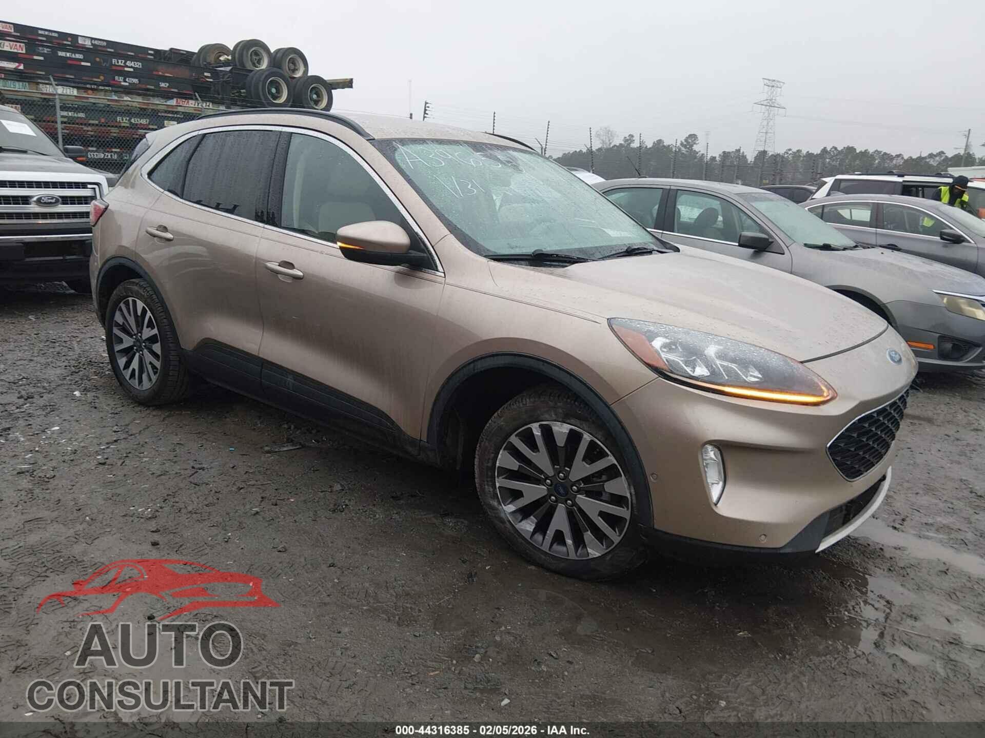 FORD ESCAPE 2020 - 1FMCU0DZ7LUA39655
