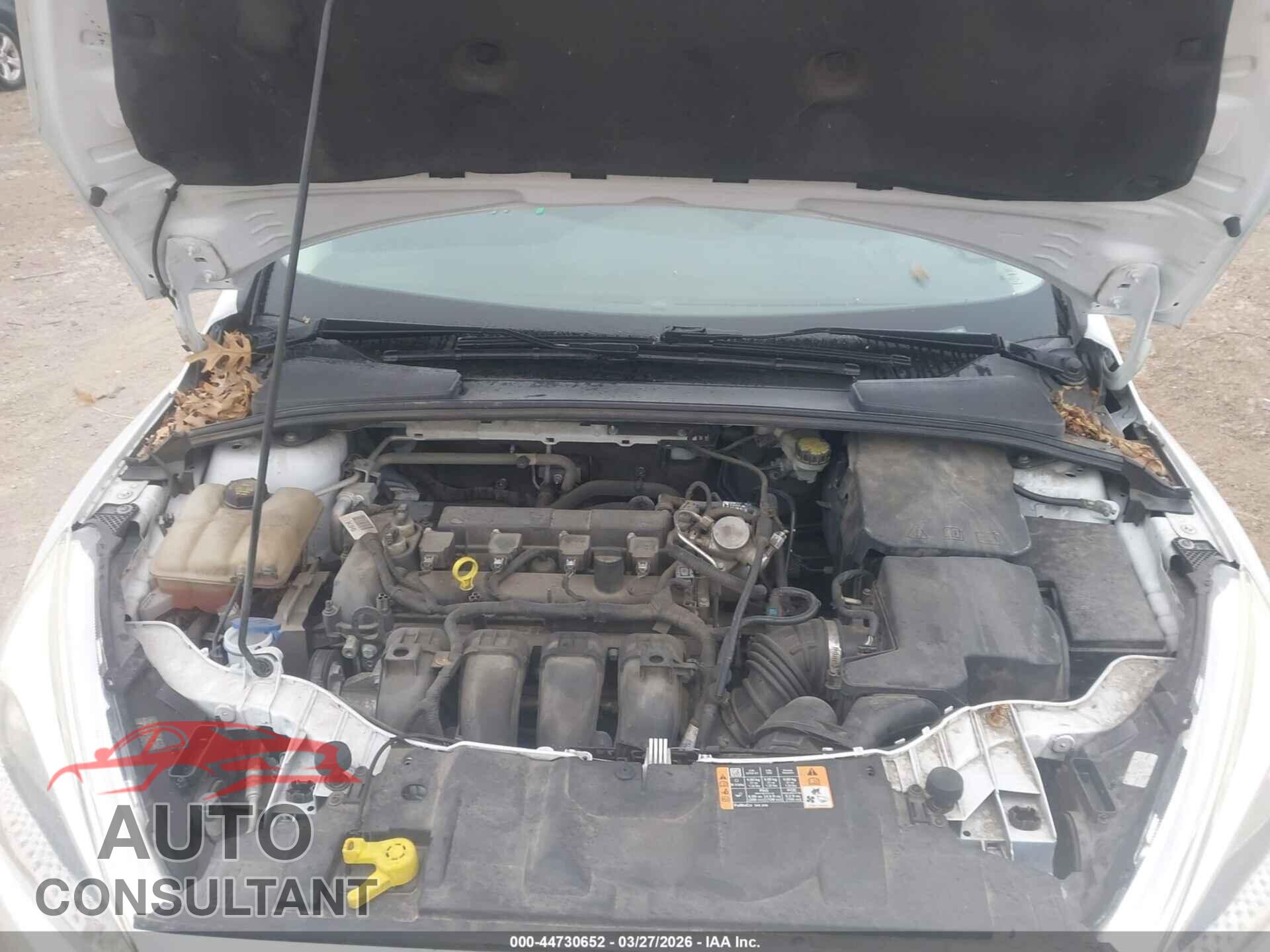 FORD FOCUS 2016 - 1FADP3E21GL398620