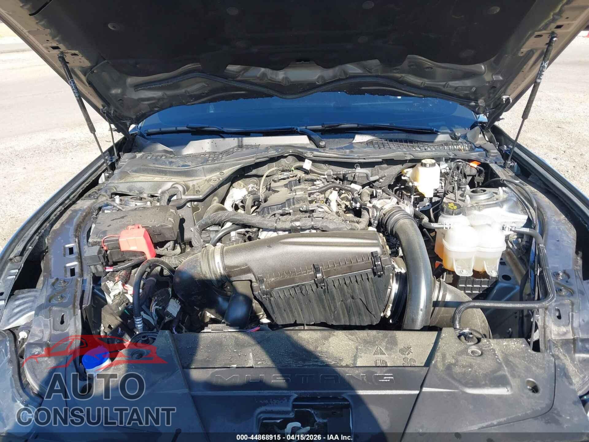 FORD MUSTANG 2025 - 1FA6P8TH3S5124944