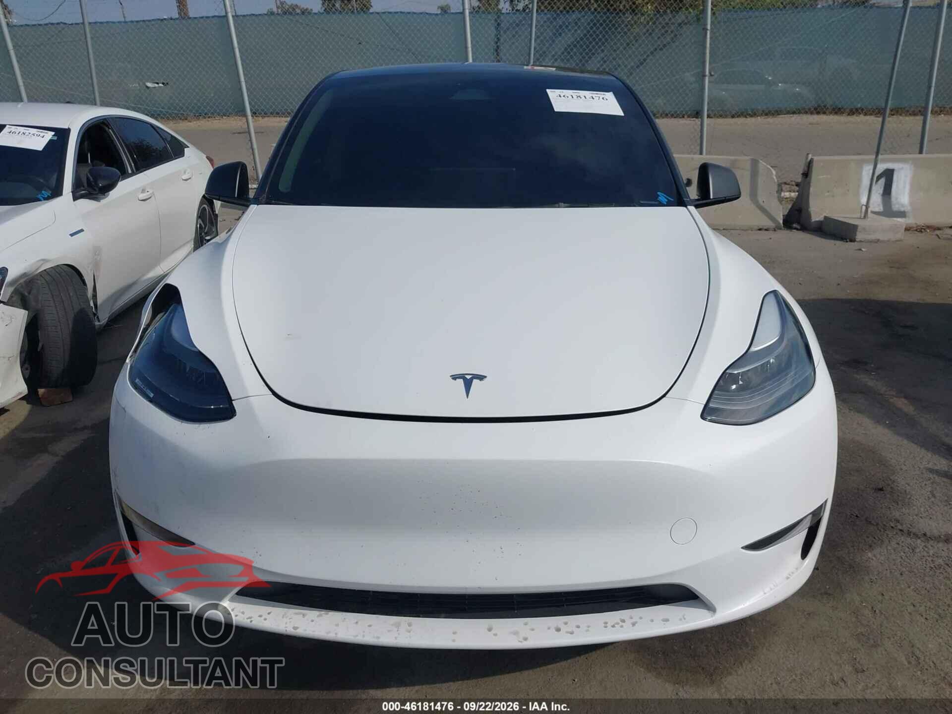 TESLA MODEL Y 2024 - 7SAYGDED8RF092025