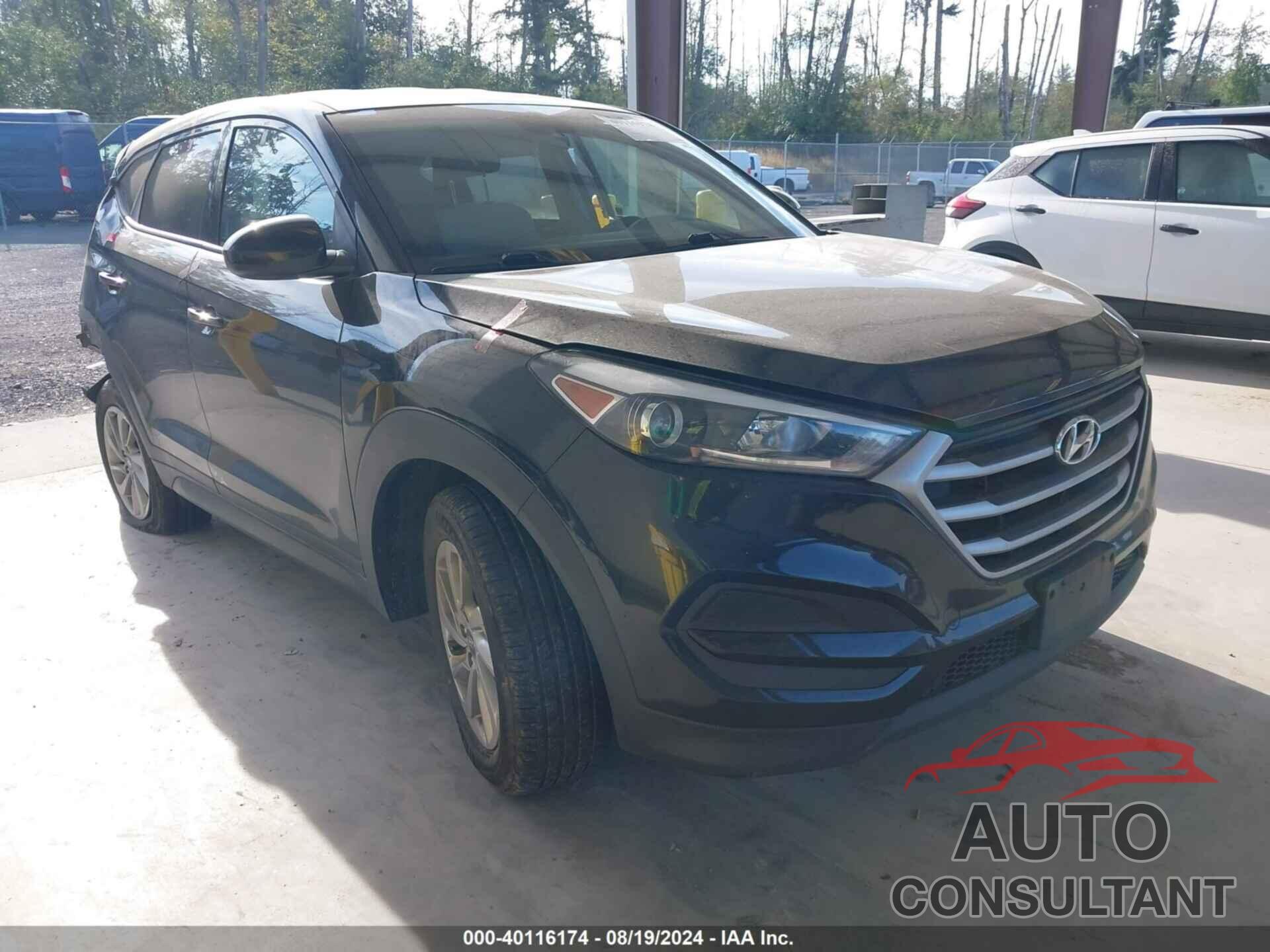 HYUNDAI TUCSON 2018 - KM8J2CA46JU691929