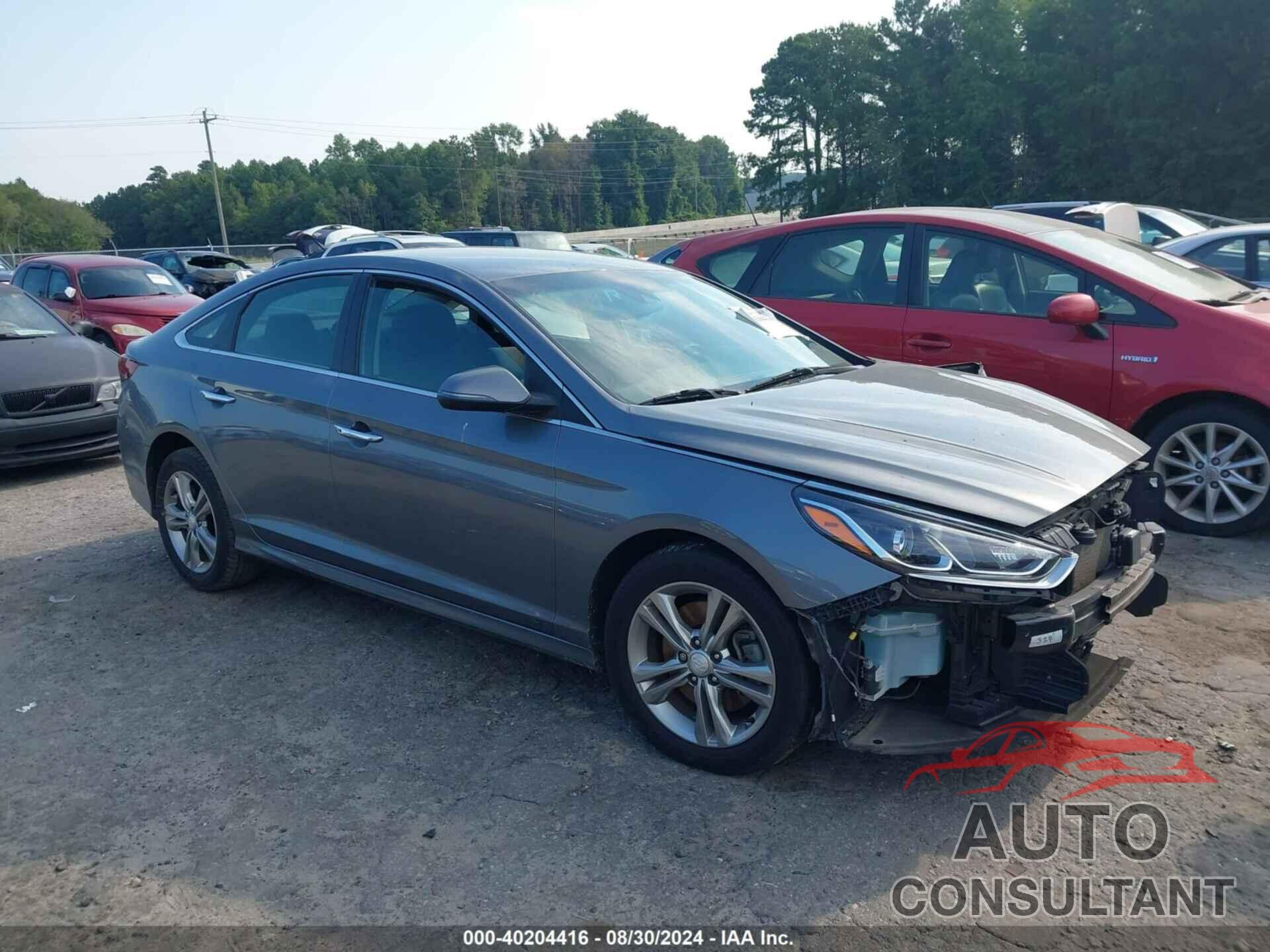HYUNDAI SONATA 2019 - 5NPE34AF4KH749431