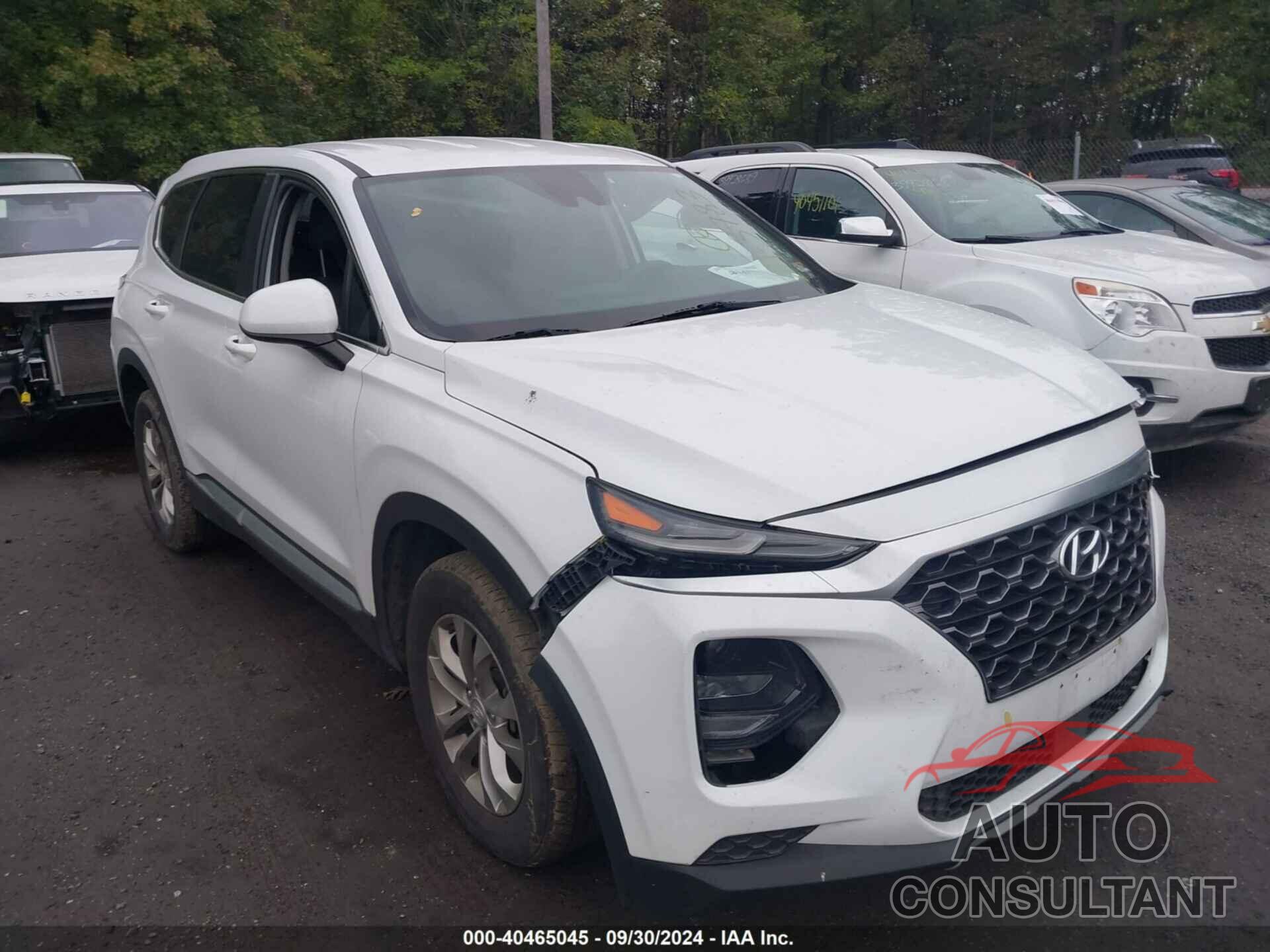 HYUNDAI SANTA FE 2019 - 5NMS23AD6KH020505