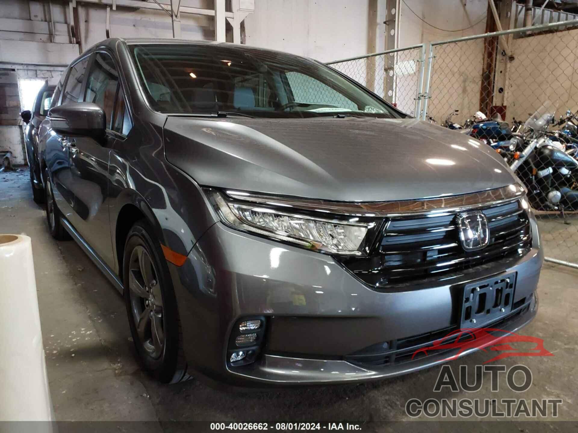 HONDA ODYSSEY 2024 - 5FNRL6H56RB072045