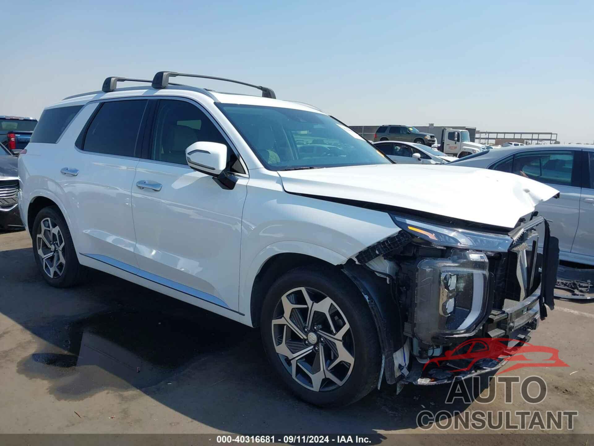 HYUNDAI PALISADE 2021 - KM8R7DHE3MU294580