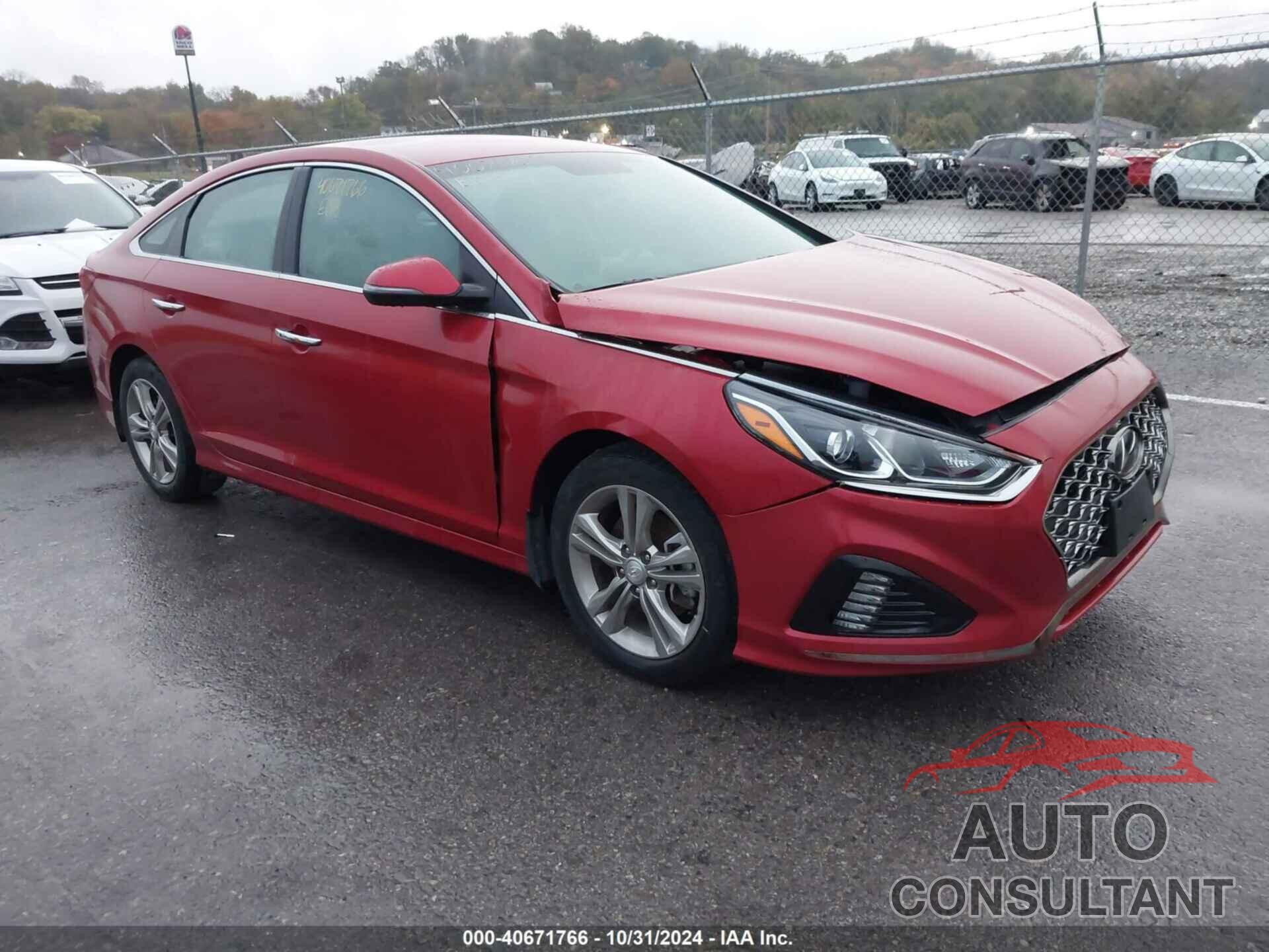 HYUNDAI SONATA 2019 - 5NPE34AF8KH812305