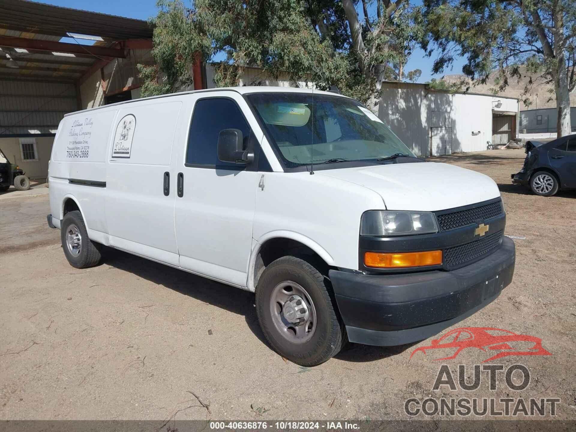 CHEVROLET EXPRESS CARGO VAN 2018 - 1GCWGBFP3J1343385