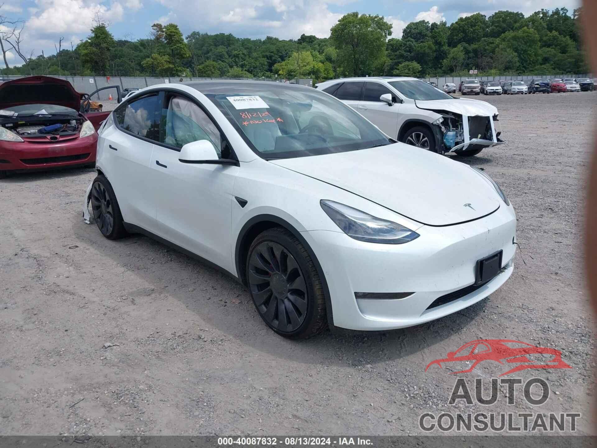 TESLA MODEL Y 2022 - 7SAYGDEF8NF405067