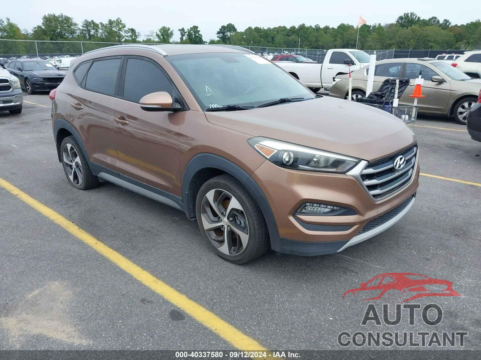 HYUNDAI TUCSON 2017 - KM8J33A21HU362593