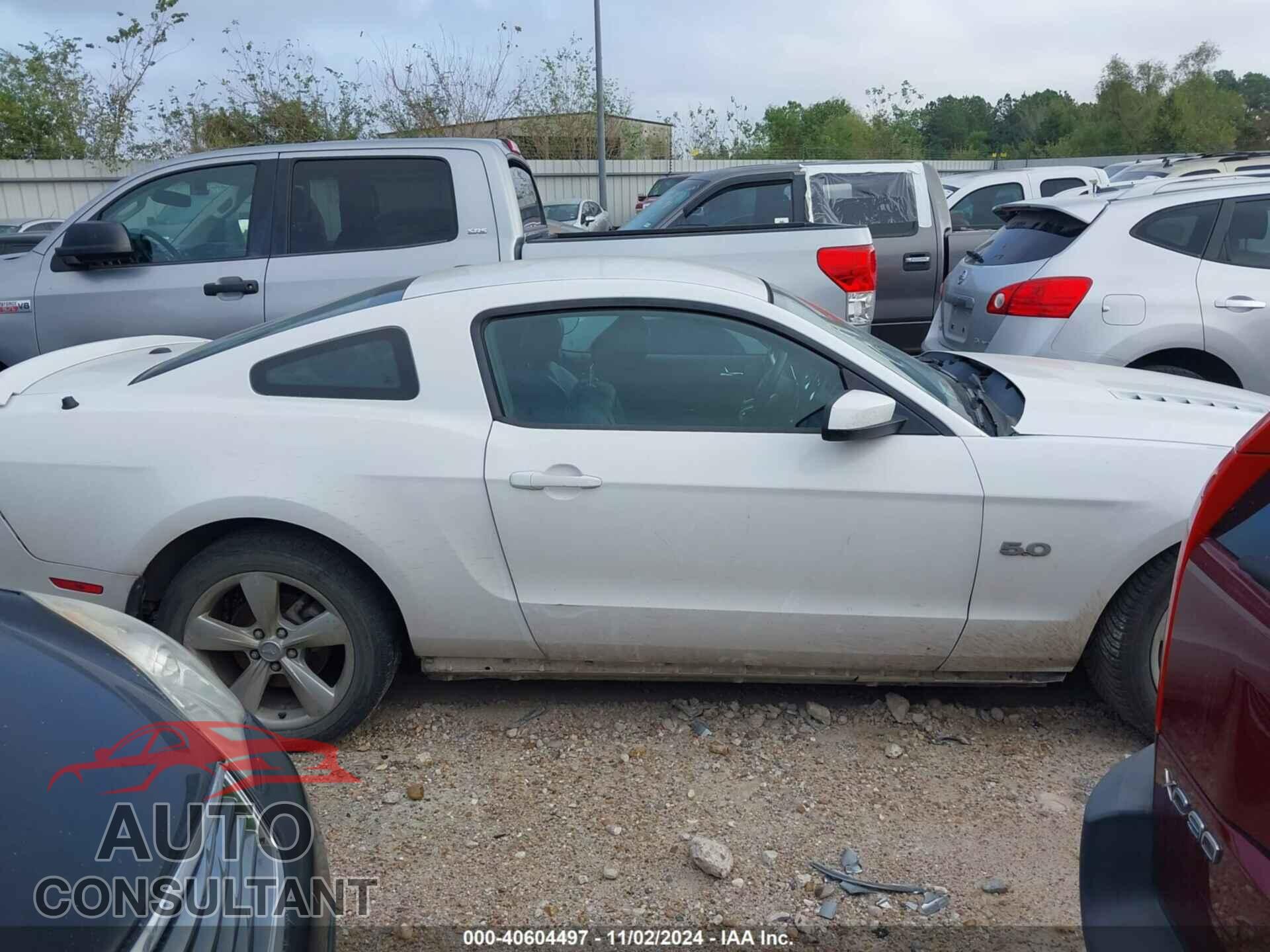 FORD MUSTANG 2014 - 1ZVBP8CF4E5238587