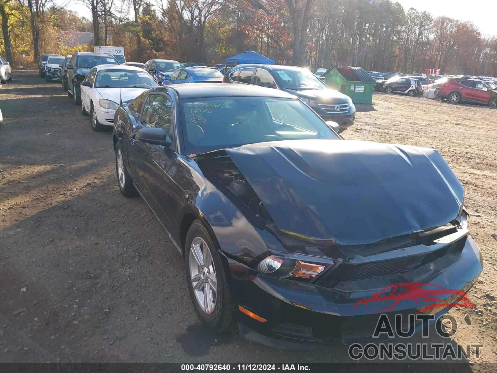 FORD MUSTANG 2011 - 1ZVBP8AM5B5155361