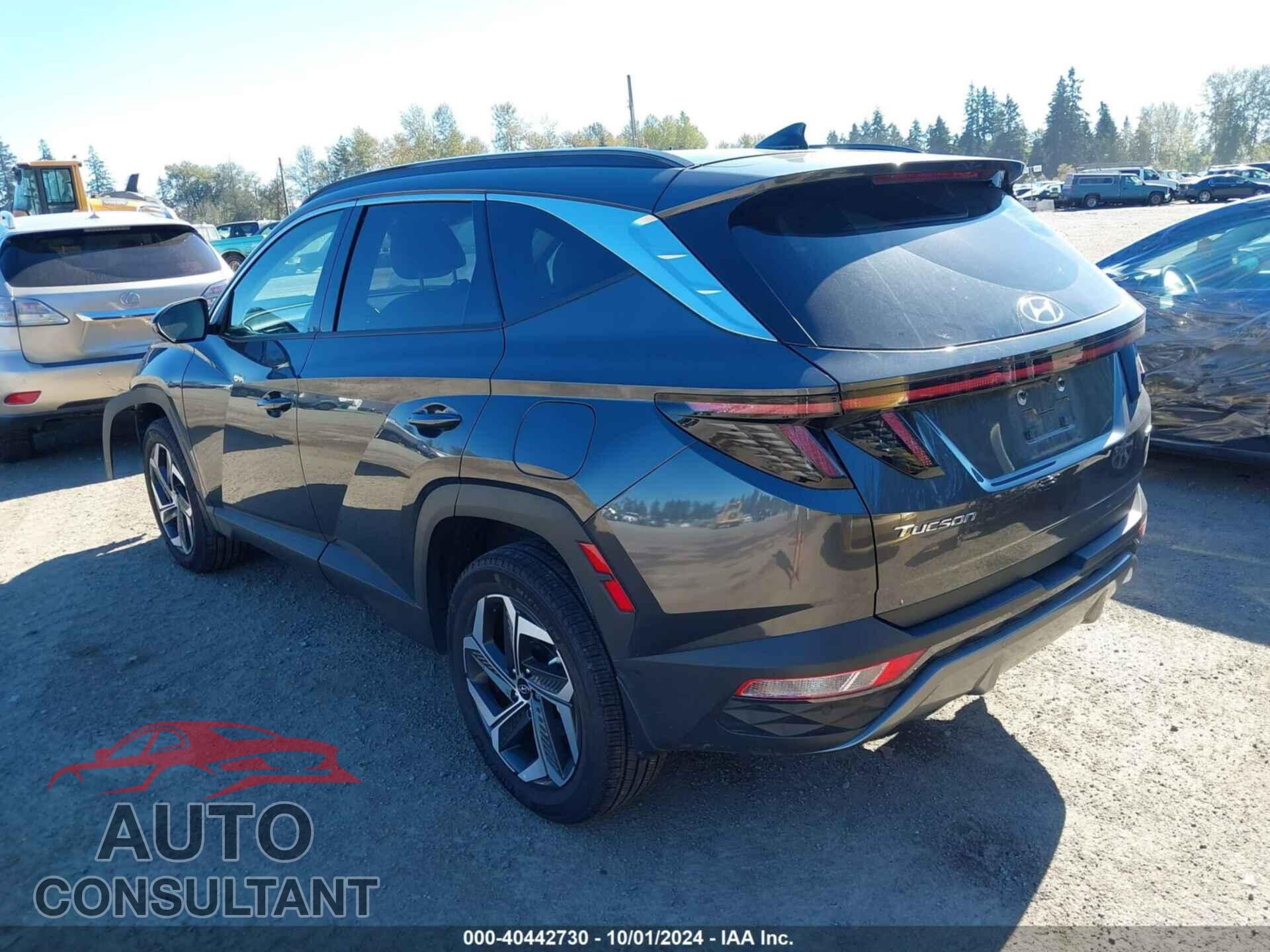 HYUNDAI TUCSON 2023 - 5NMJECAE7PH287901