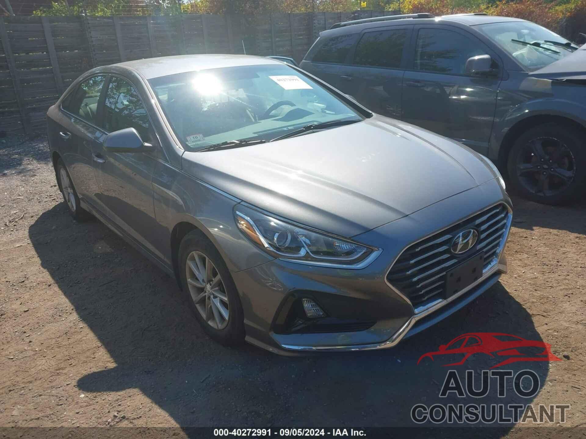 HYUNDAI SONATA 2019 - 5NPE24AF0KH799634