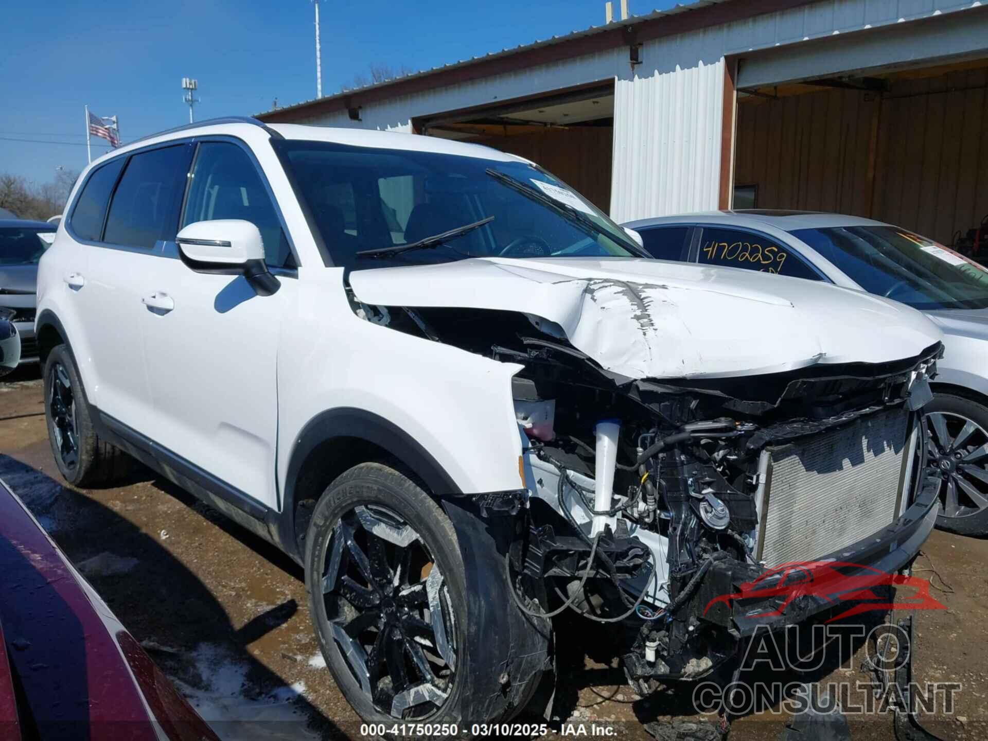 KIA TELLURIDE 2024 - 5XYP3DGC3RG417116