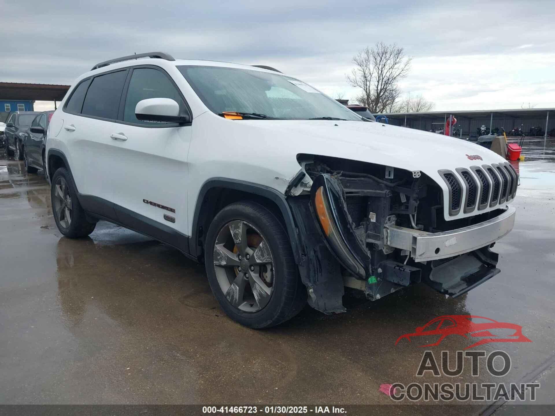 JEEP CHEROKEE 2016 - 1C4PJLCB1GW302849