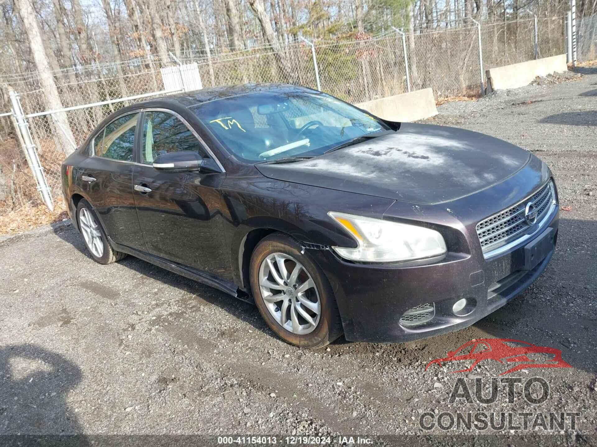 NISSAN MAXIMA 2010 - 1N4AA5AP2AC813002
