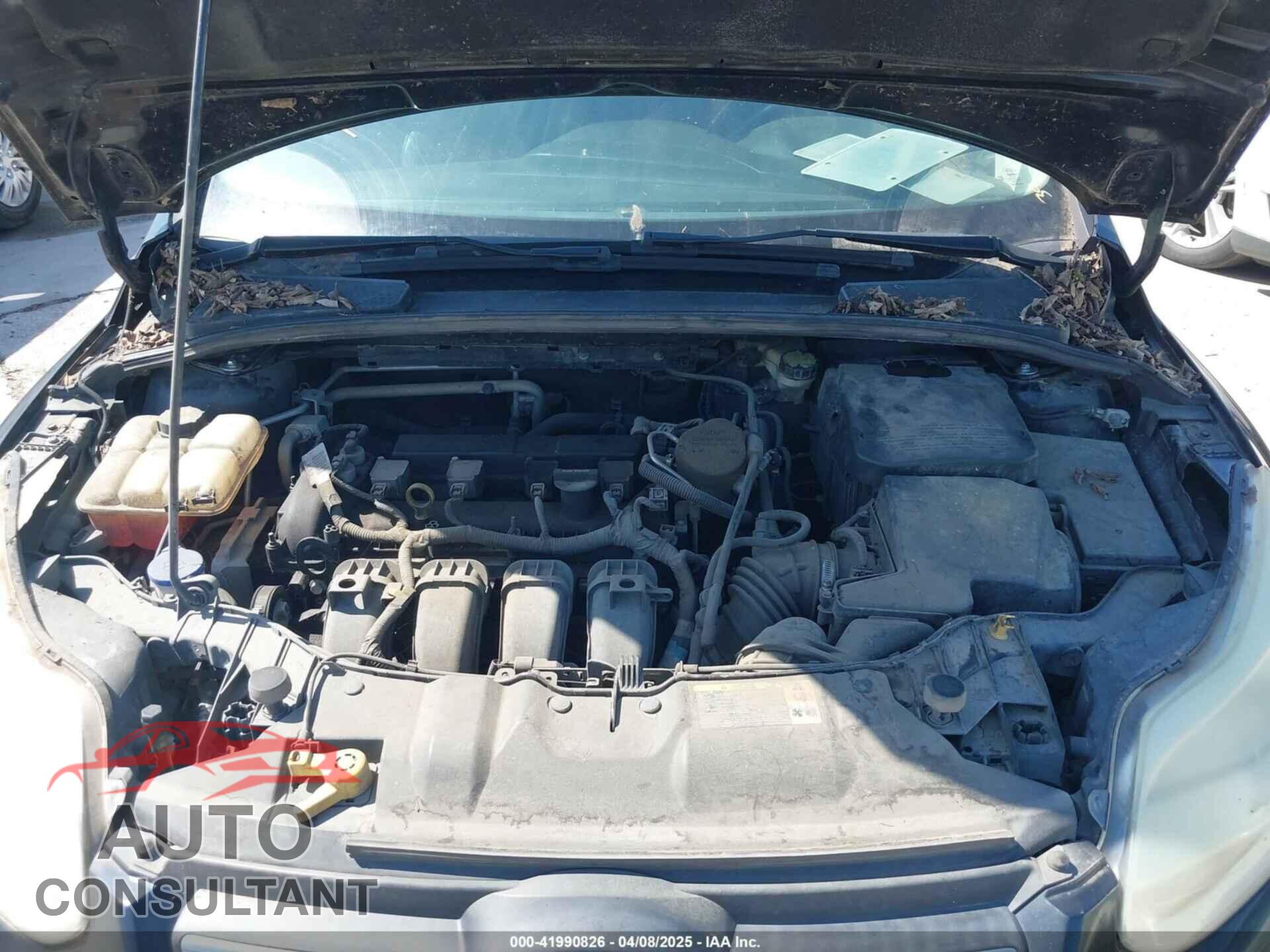 FORD FOCUS 2014 - 1FADP3K28EL213304