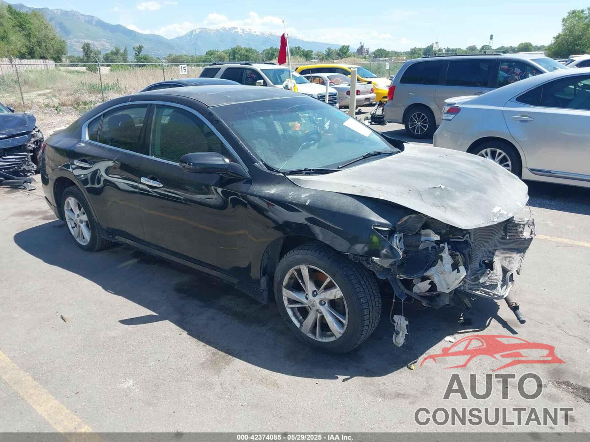 NISSAN MAXIMA 2009 - 1N4AA51E39C859500