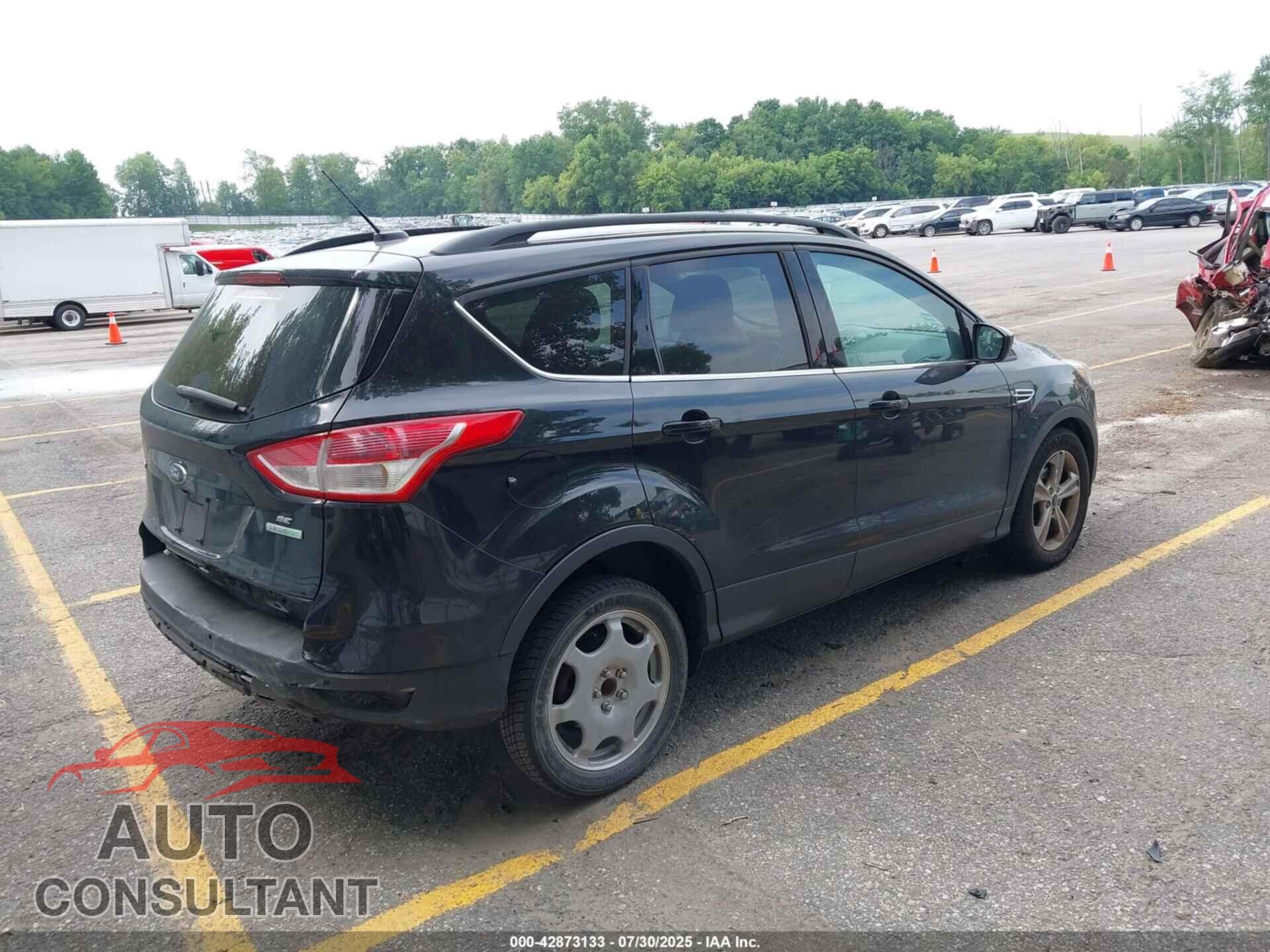 FORD ESCAPE 2014 - 1FMCU0GX4EUE13393