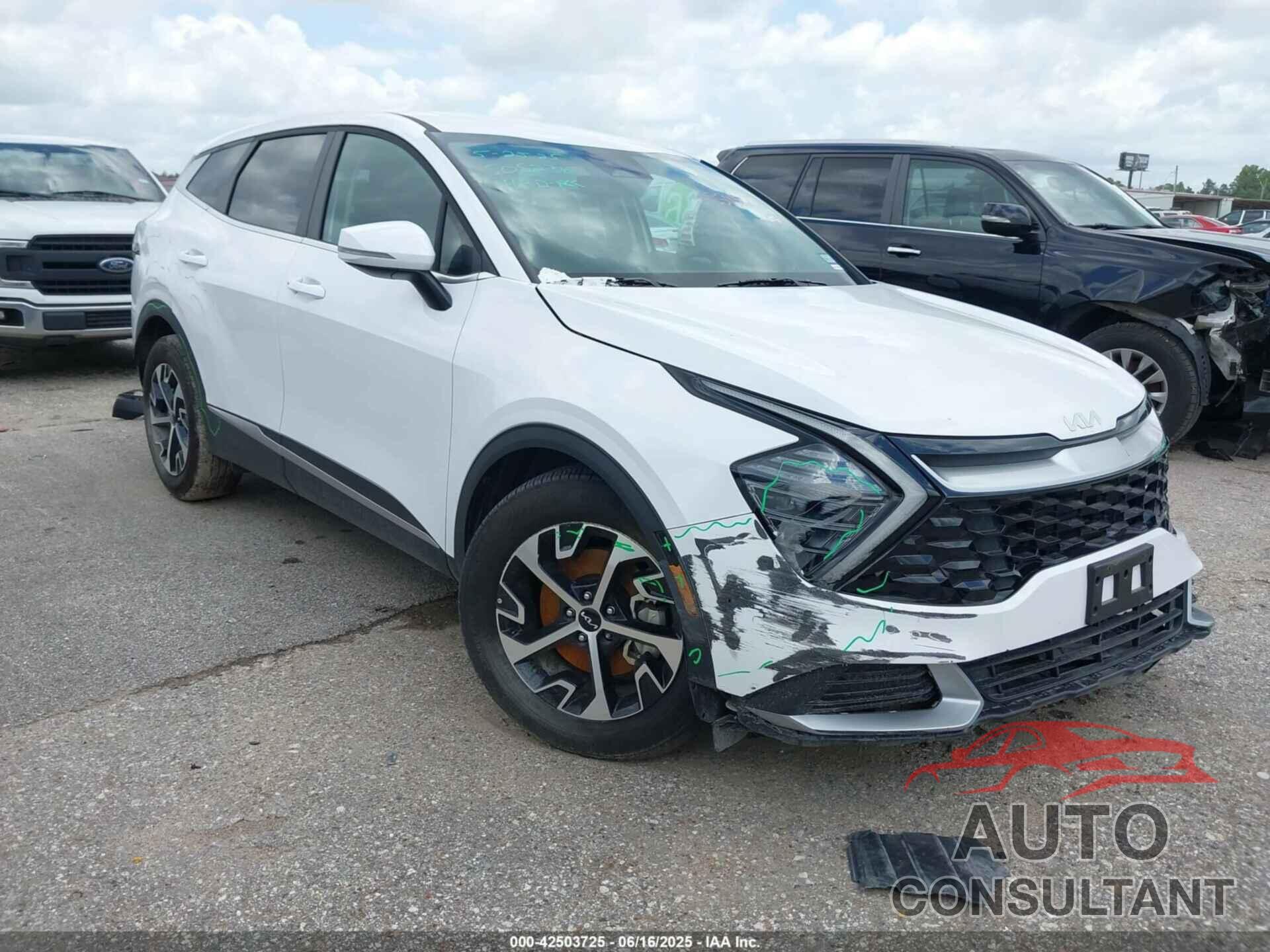 KIA SPORTAGE 2025 - 5XYK33DF5SG243302
