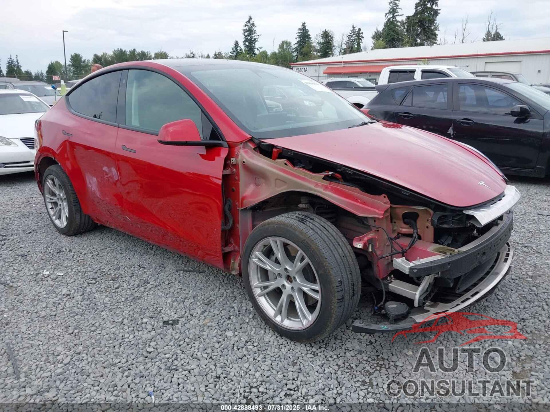 TESLA MODEL Y 2021 - 5YJYGDEE9MF203809