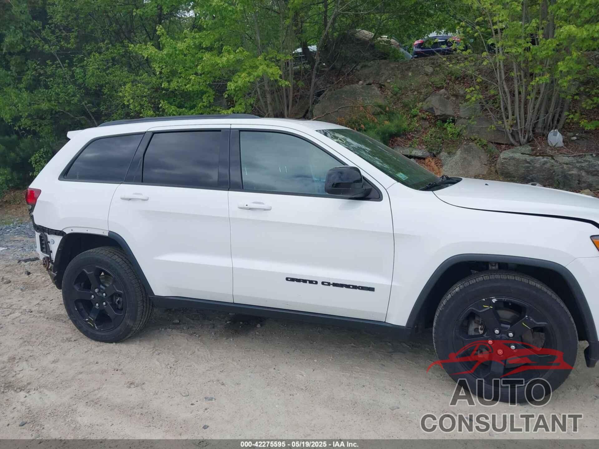 JEEP GRAND CHEROKEE 2019 - 1C4RJFAG8KC620471