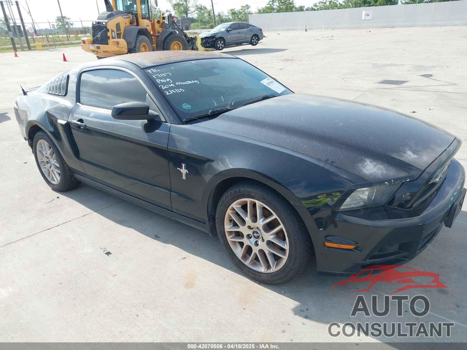 FORD MUSTANG 2014 - 1ZVBP8AM7E5277711