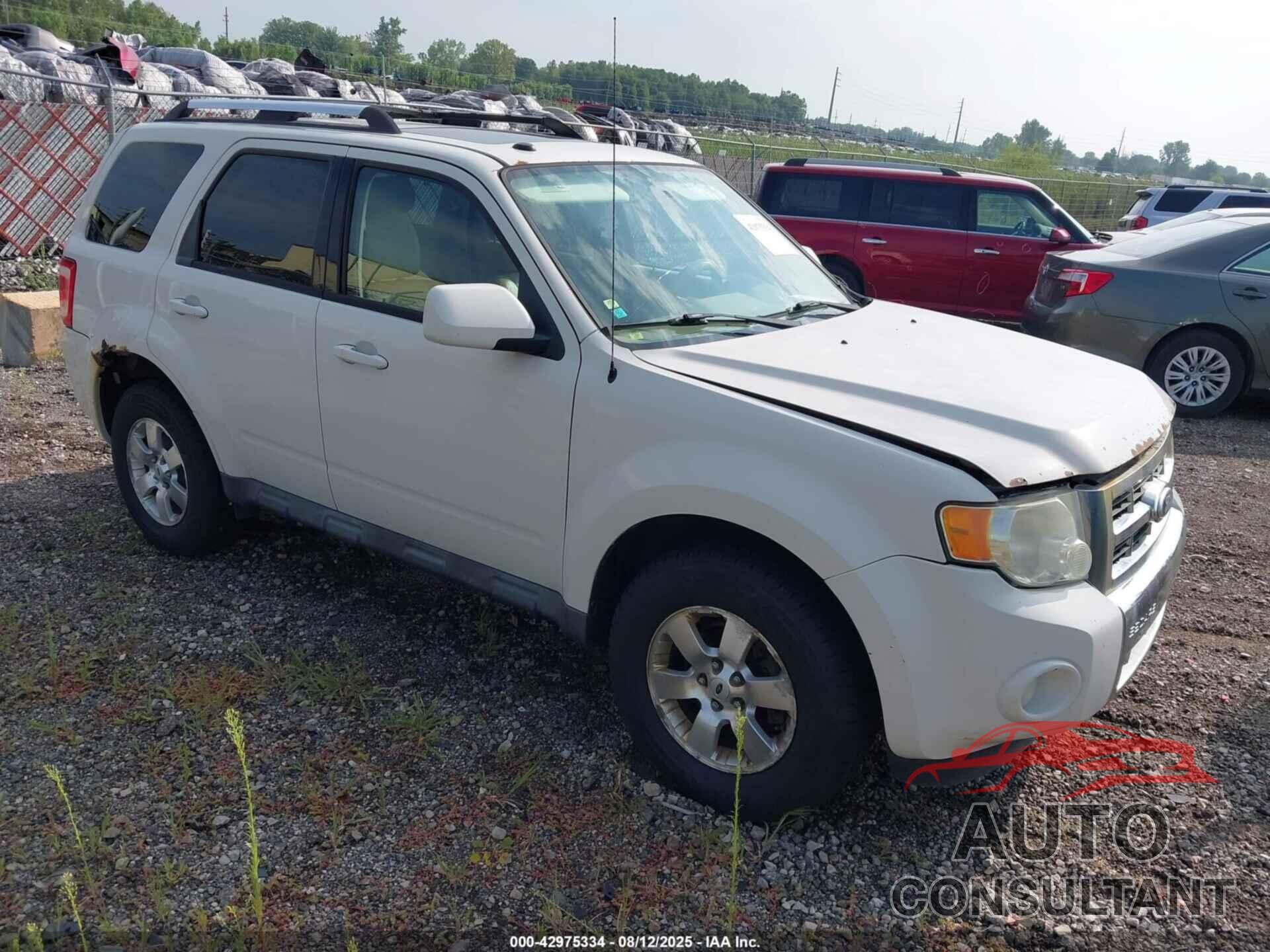 FORD ESCAPE 2010 - 1FMCU0E78AKB10416