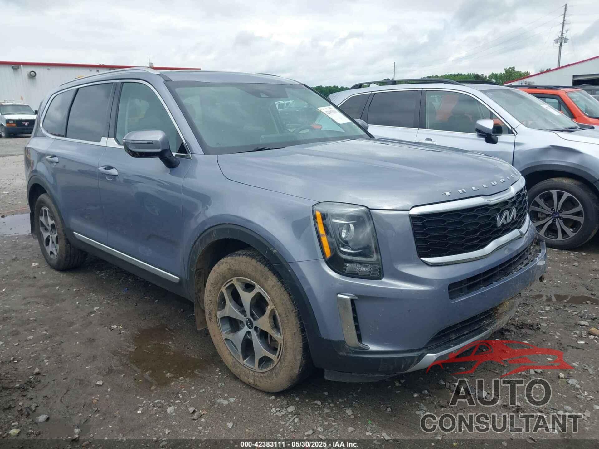KIA TELLURIDE 2022 - 5XYP3DHC0NG258550