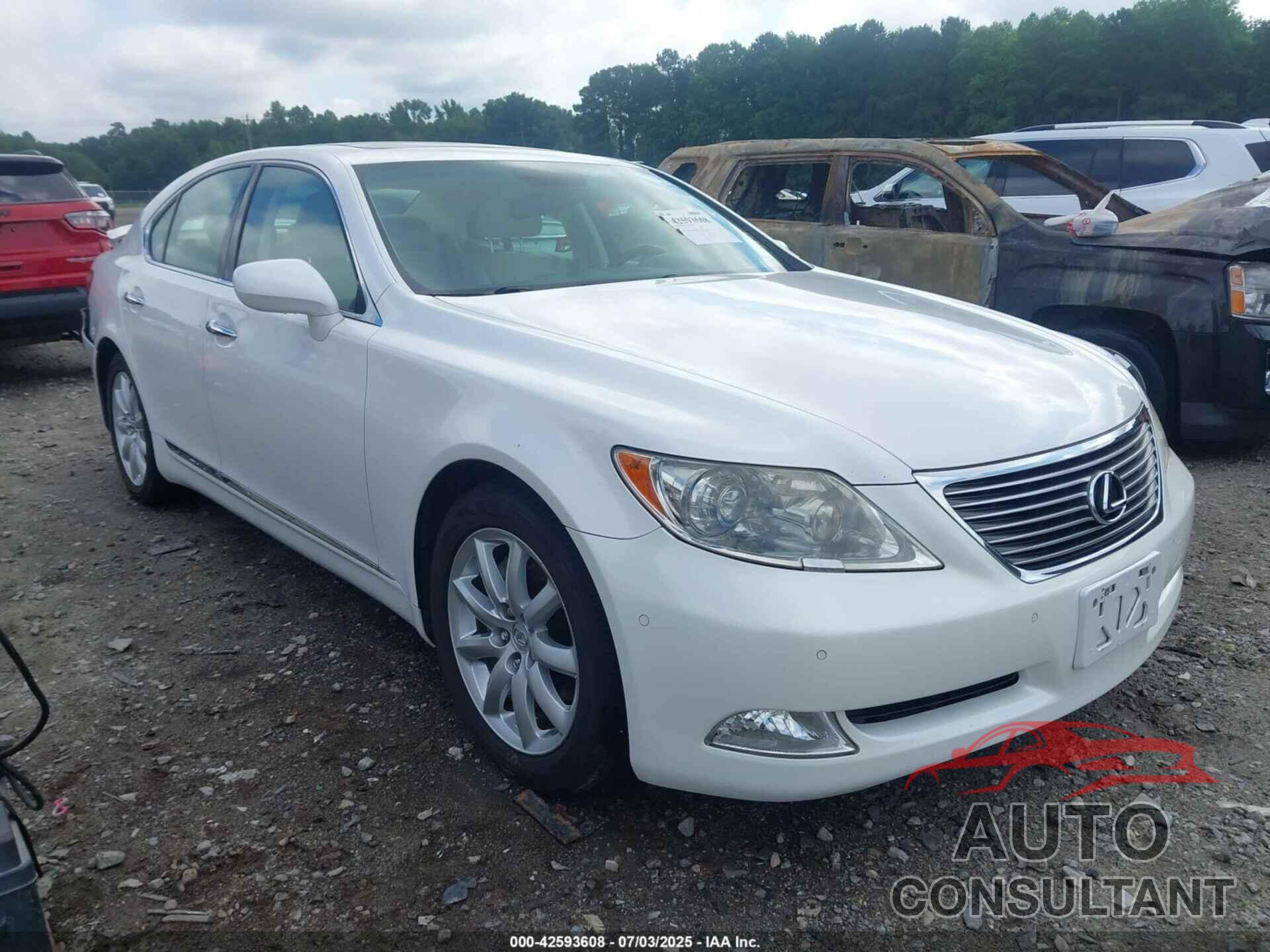 LEXUS LS 460 2009 - JTHBL46F695087825