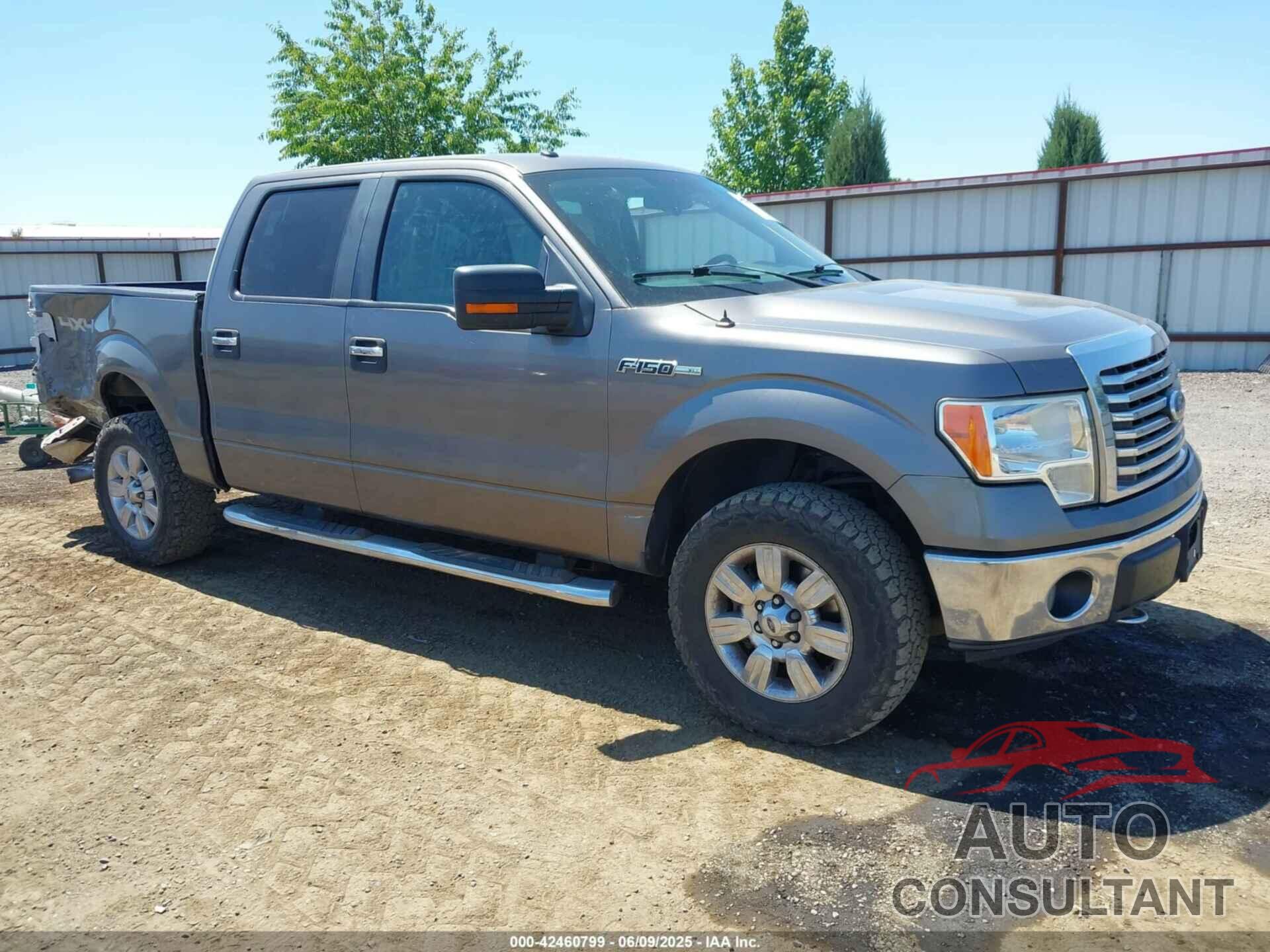 FORD F-150 2010 - 1FTFW1EV2AFC24453