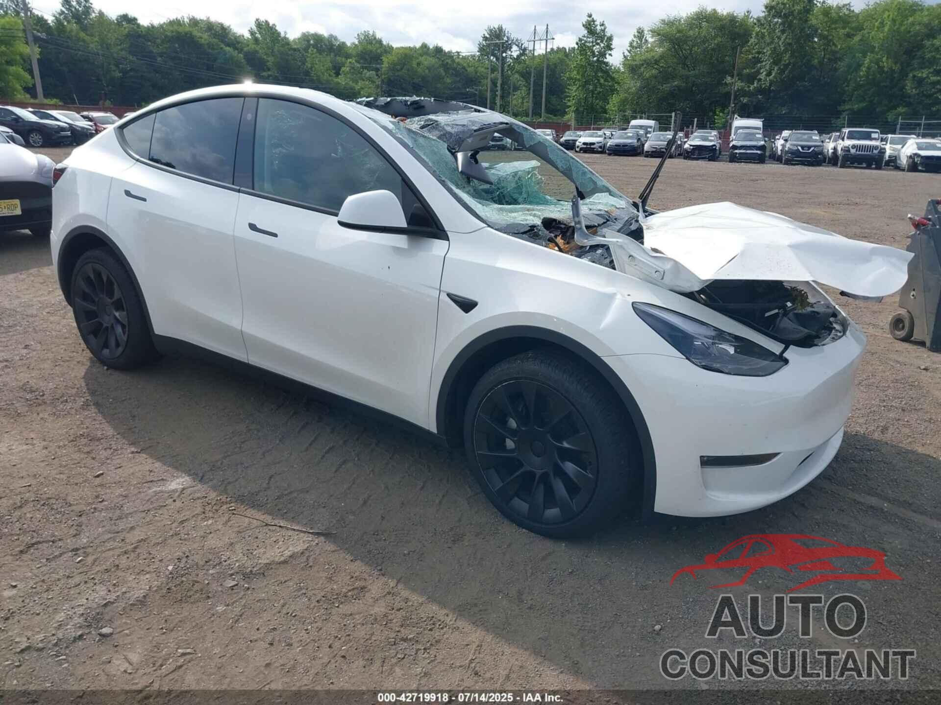 TESLA MODEL Y 2023 - 7SAYGDEE2PA103510