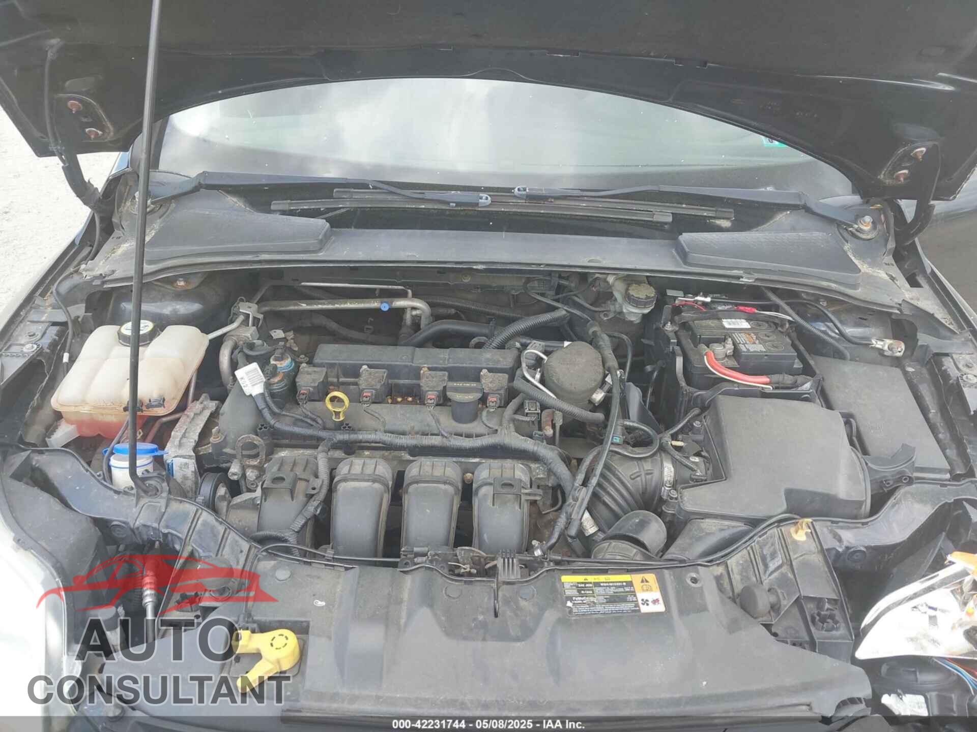 FORD FOCUS 2013 - 1FADP3F2XDL354156