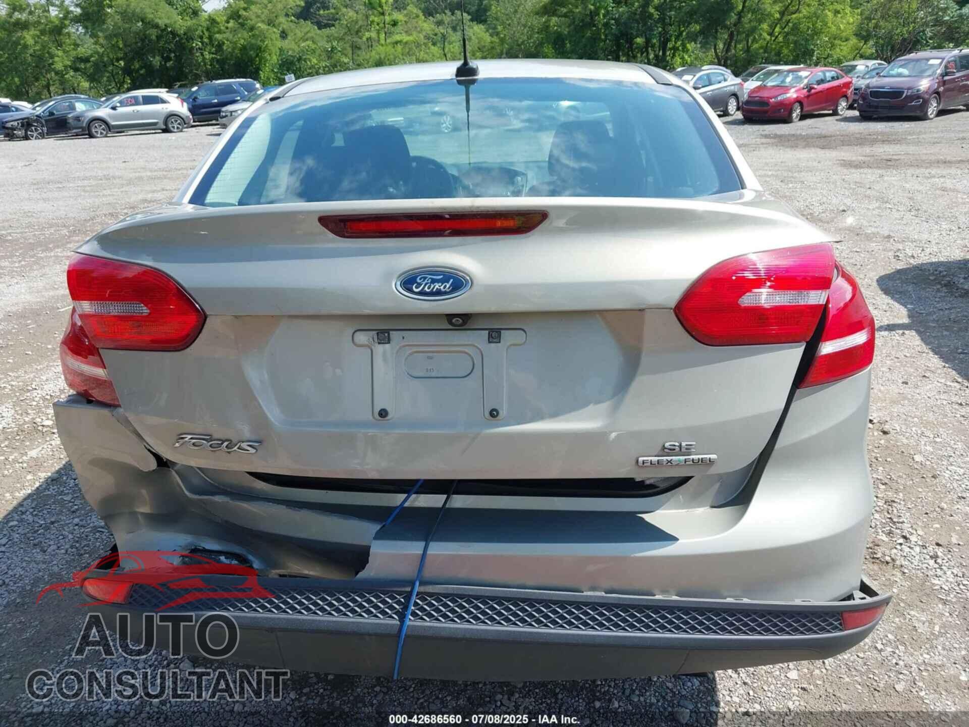 FORD FOCUS 2016 - 1FADP3F21GL314455