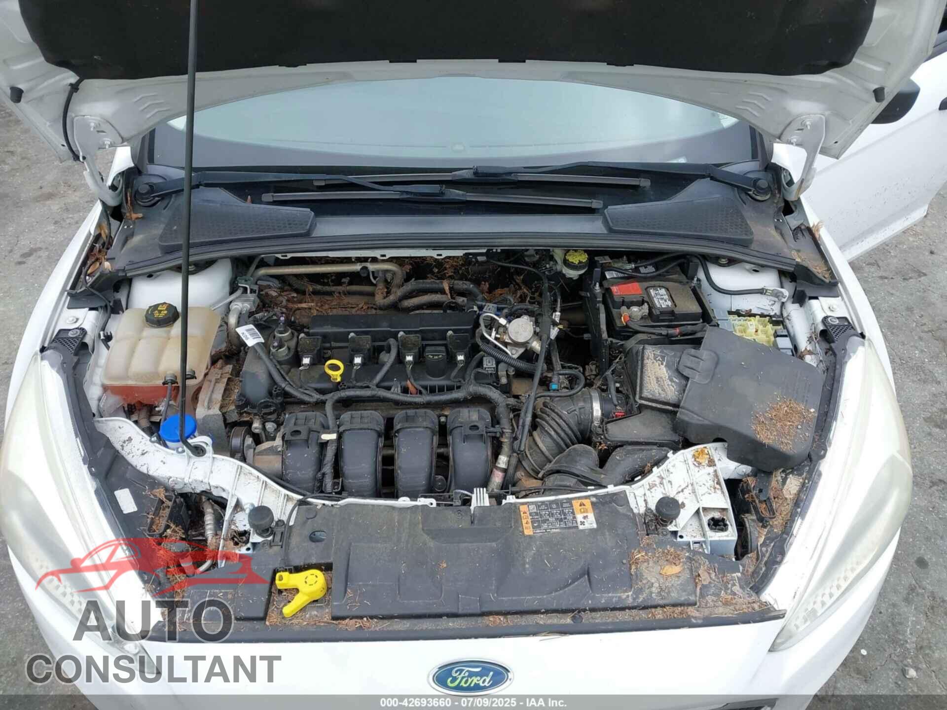 FORD FOCUS 2016 - 1FADP3E26GL356458