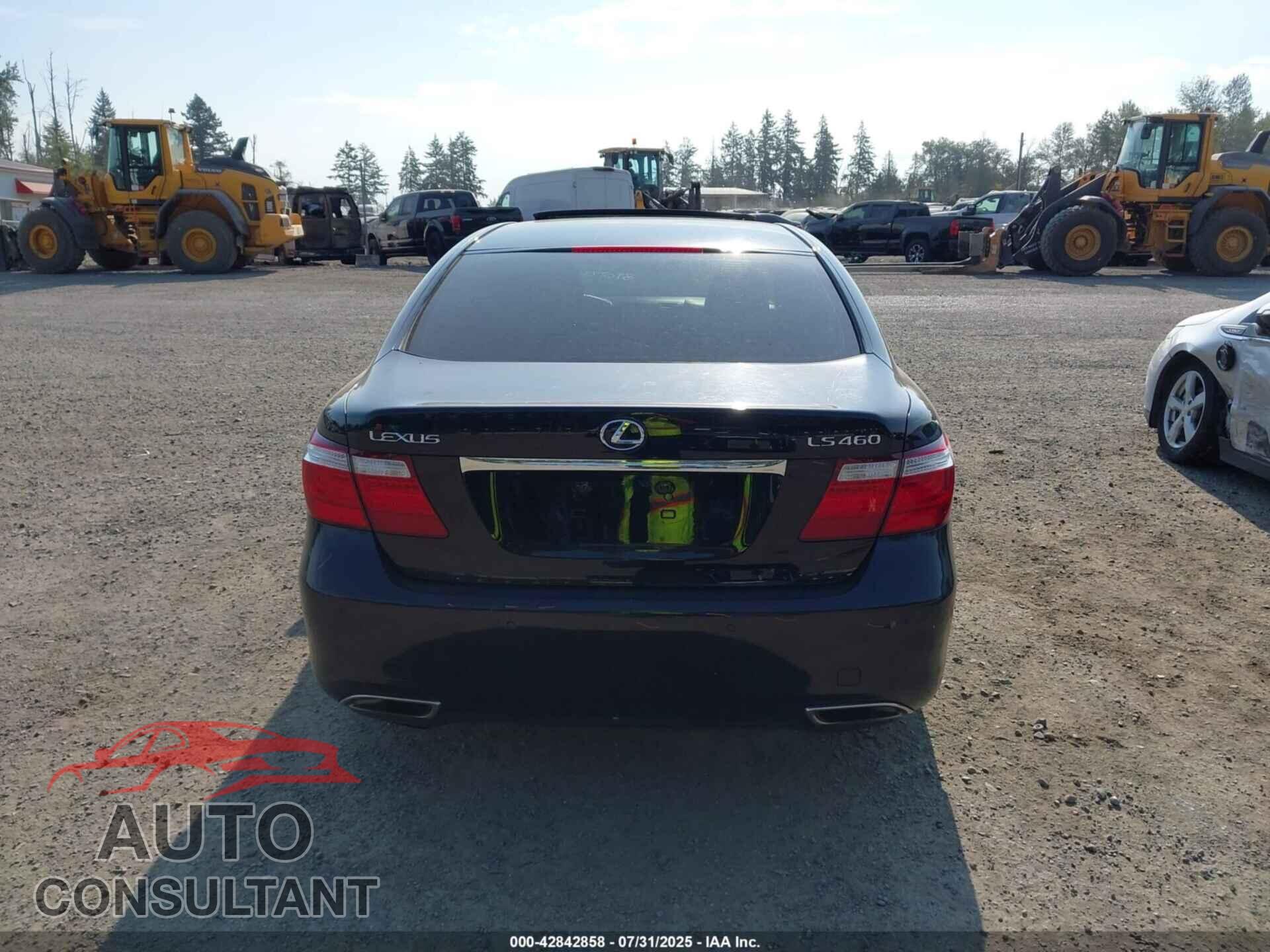 LEXUS LS 460 2009 - JTHCL46F295003410