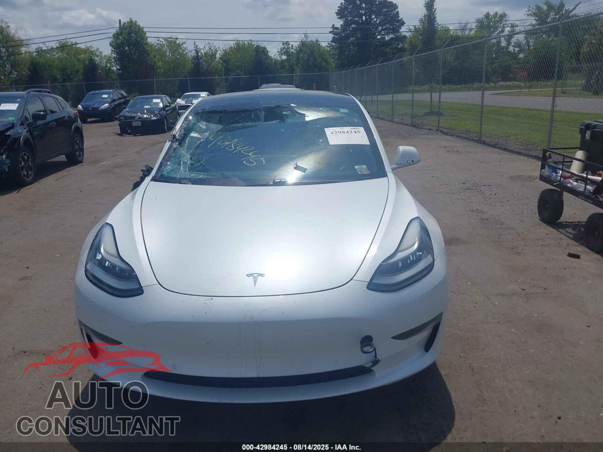 TESLA MODEL 3 2019 - 5YJ3E1EB9KF493390